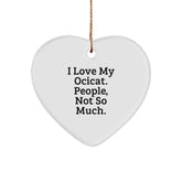 Ocicat Heart Ornament Gifts from Friends to Family, Funny Quote, White, 2.75" Tall, Perfect for Christmas - Image 1
